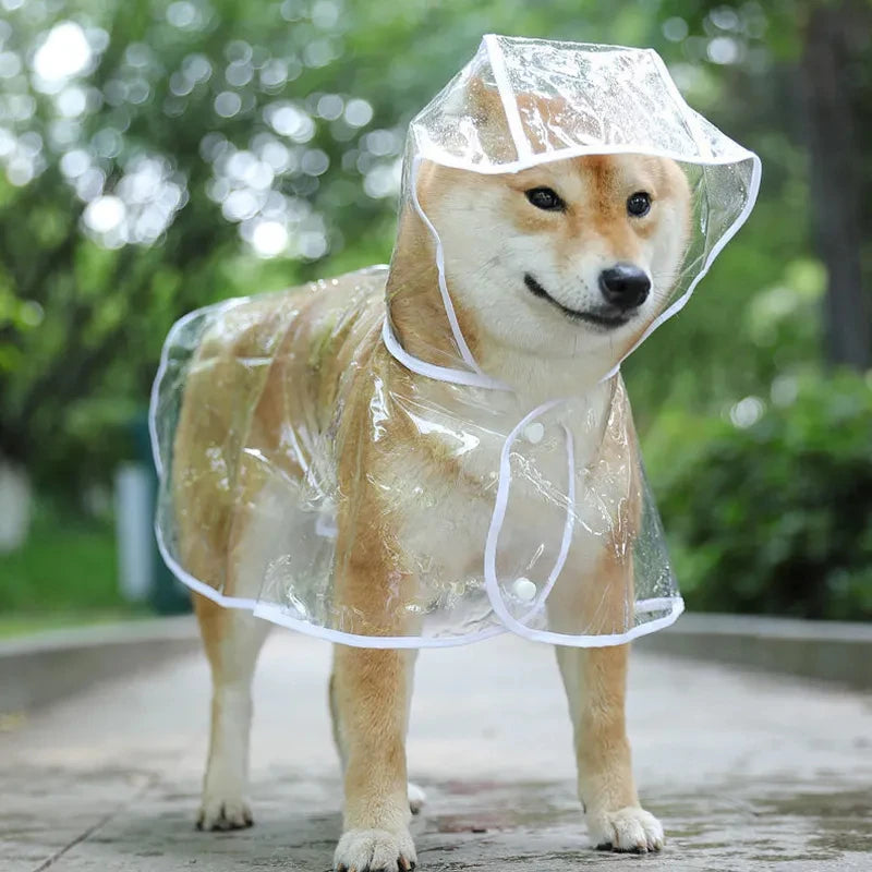 Transparent Pet Raincoat – Stay Dry in Style ☔🐾