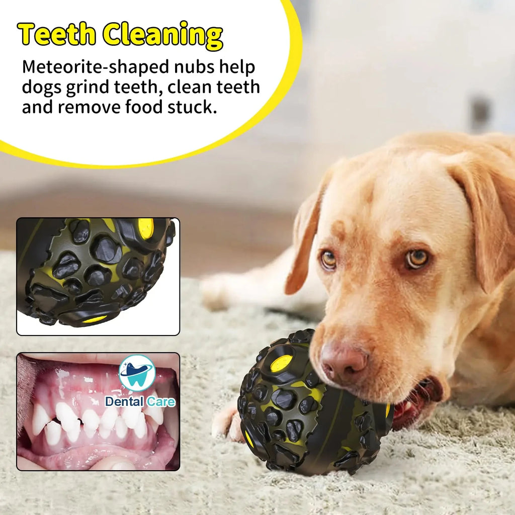 Durable Dog Ball – Fun for Tough Chewers