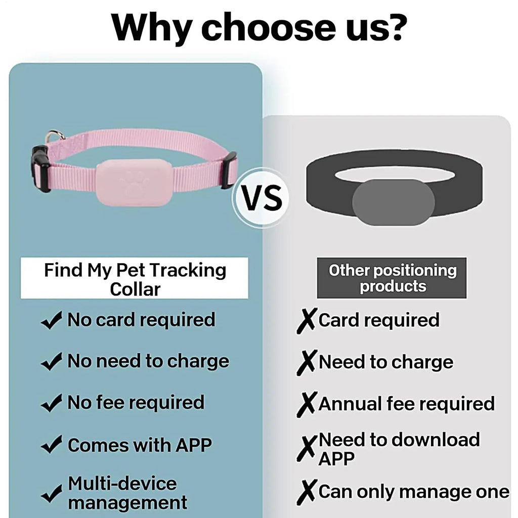GPS Cat Collar – Safety, Freedom & Peace of Mind 🐾📍