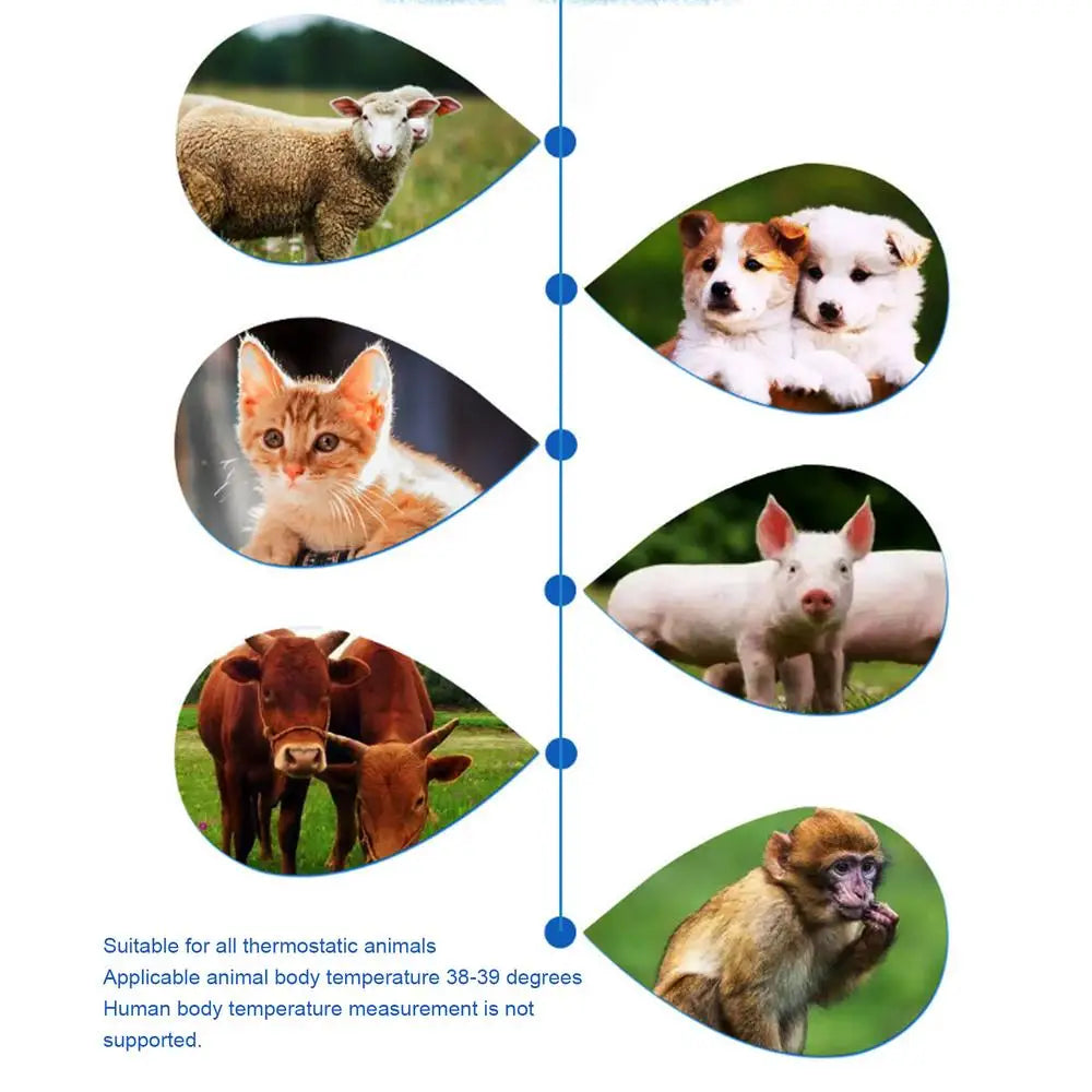 Dog Ear Thermometer – Accurate Fever Detection for Pets