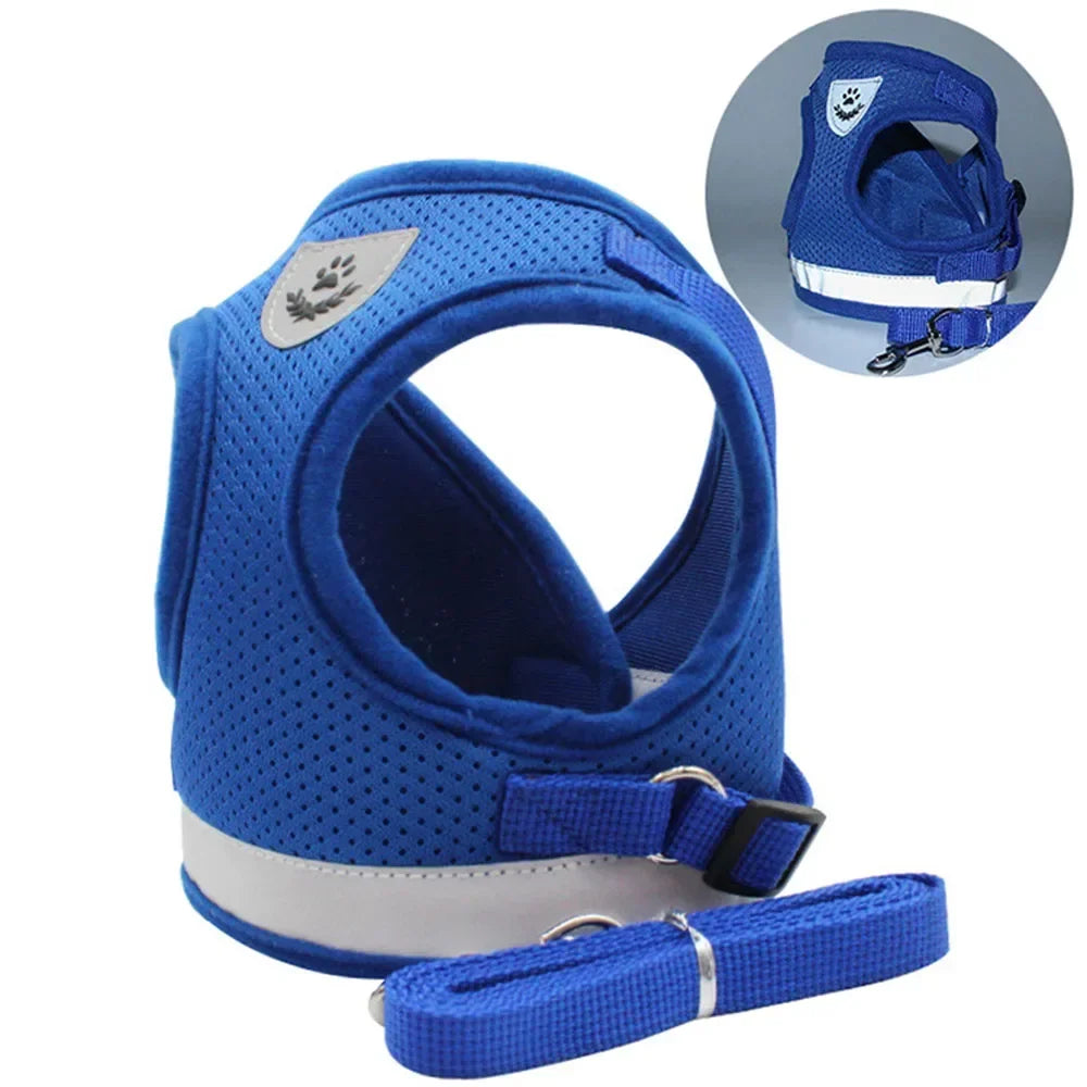 Reflective Cat Harness & Leash Set – Safe Adventures Day & Night 🌙🐾