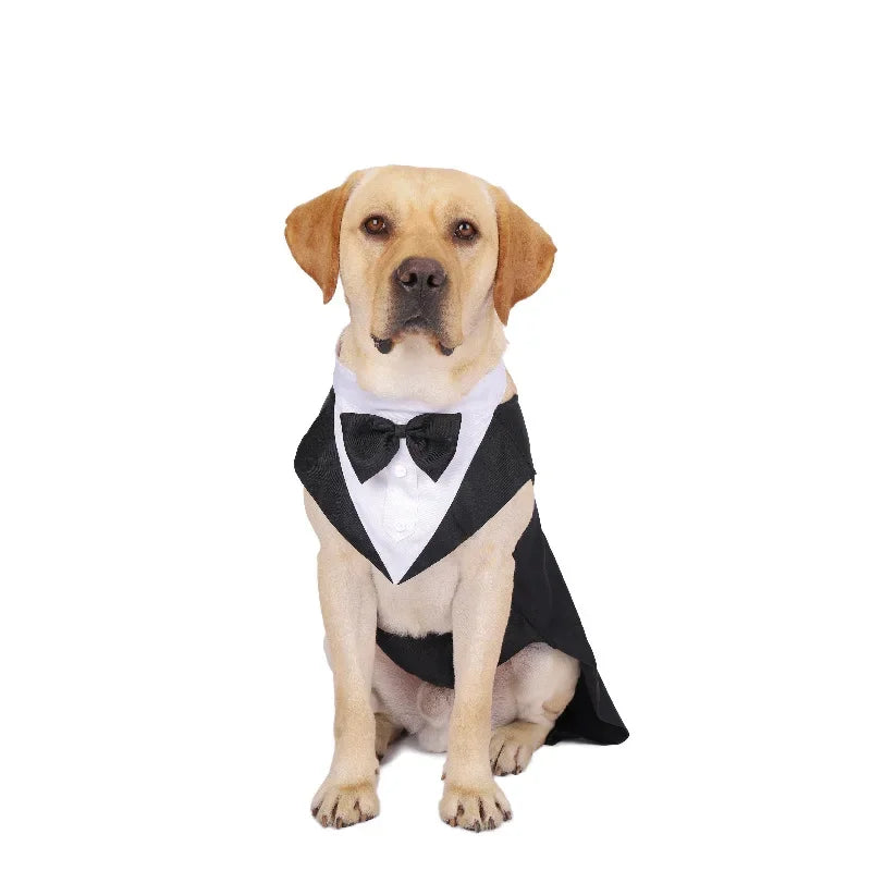 Dog Tuxedo Suit – Formal, Stylish & Absolutely Adorable