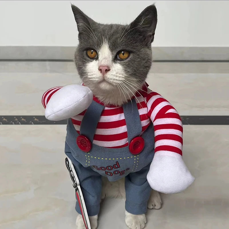 Funny Cat Halloween Costume – Spooky & Adorable