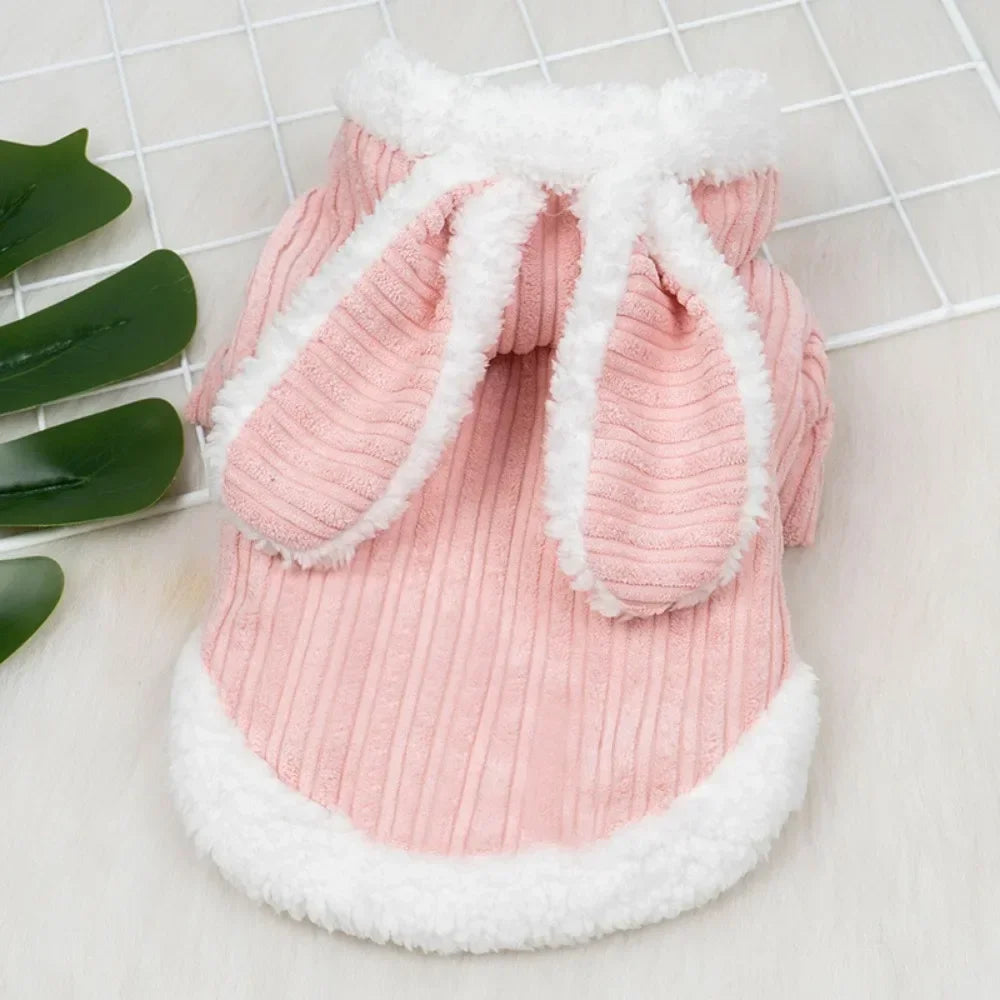 Lovable Cat Outfit – Cozy & Cute