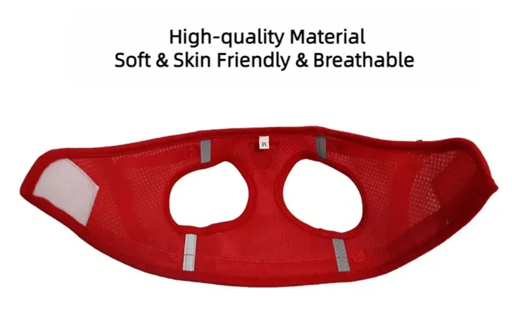 Reflective Cat Harness & Leash Set – Safe Adventures Day & Night 🌙🐾