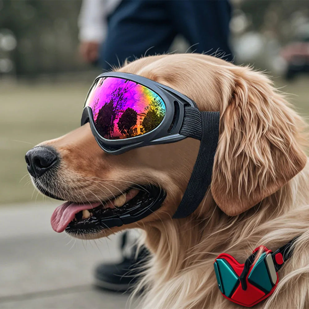 Cool Dog Sunglasses – Style & Protection in One