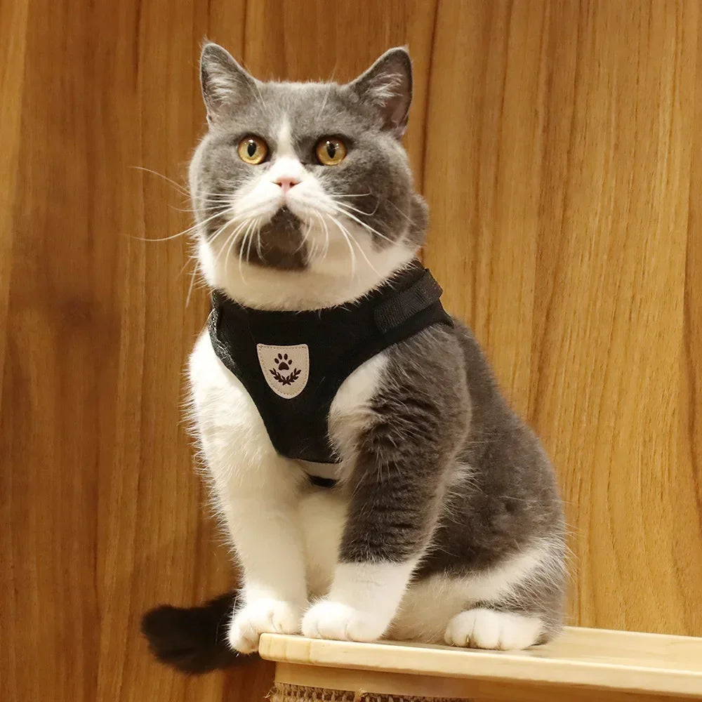 Reflective Cat Harness & Leash Set – Safe Adventures Day & Night 🌙🐾