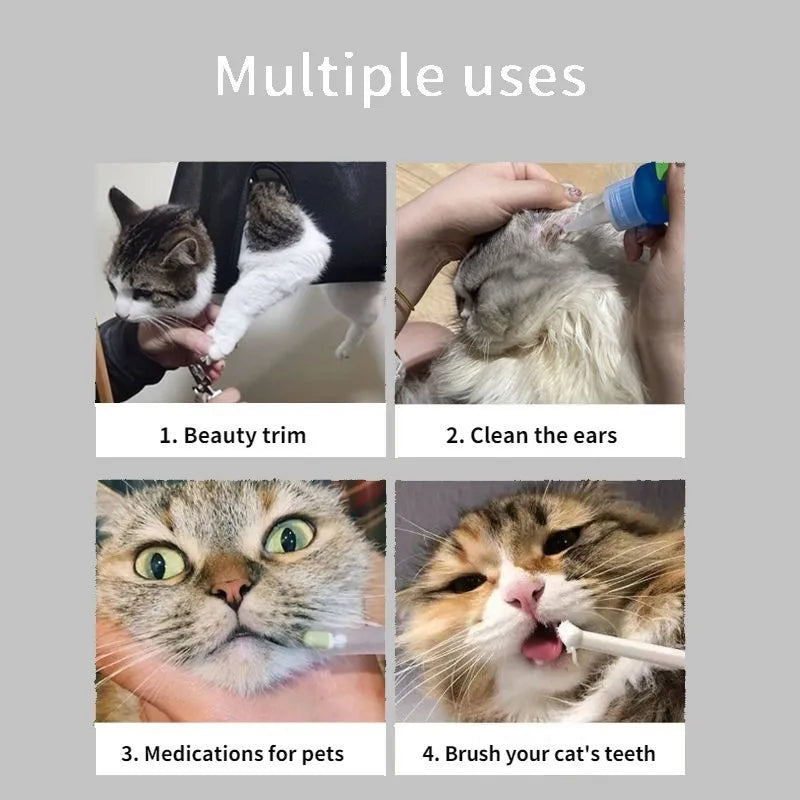 Keep grooming stress-free – for both you and your cat!
