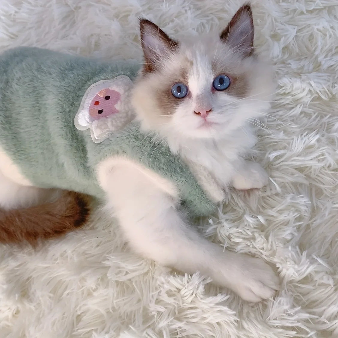 Plush Winter Sweater for Cats – Cozy, Cute & Comfy