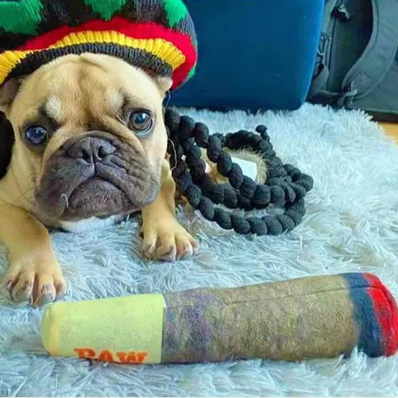 The Coolest Cigar for Your Dog – No Smoke, Just Fun!