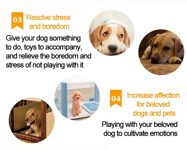 Tough Chew & Play Toy – Built for Endless Fun
