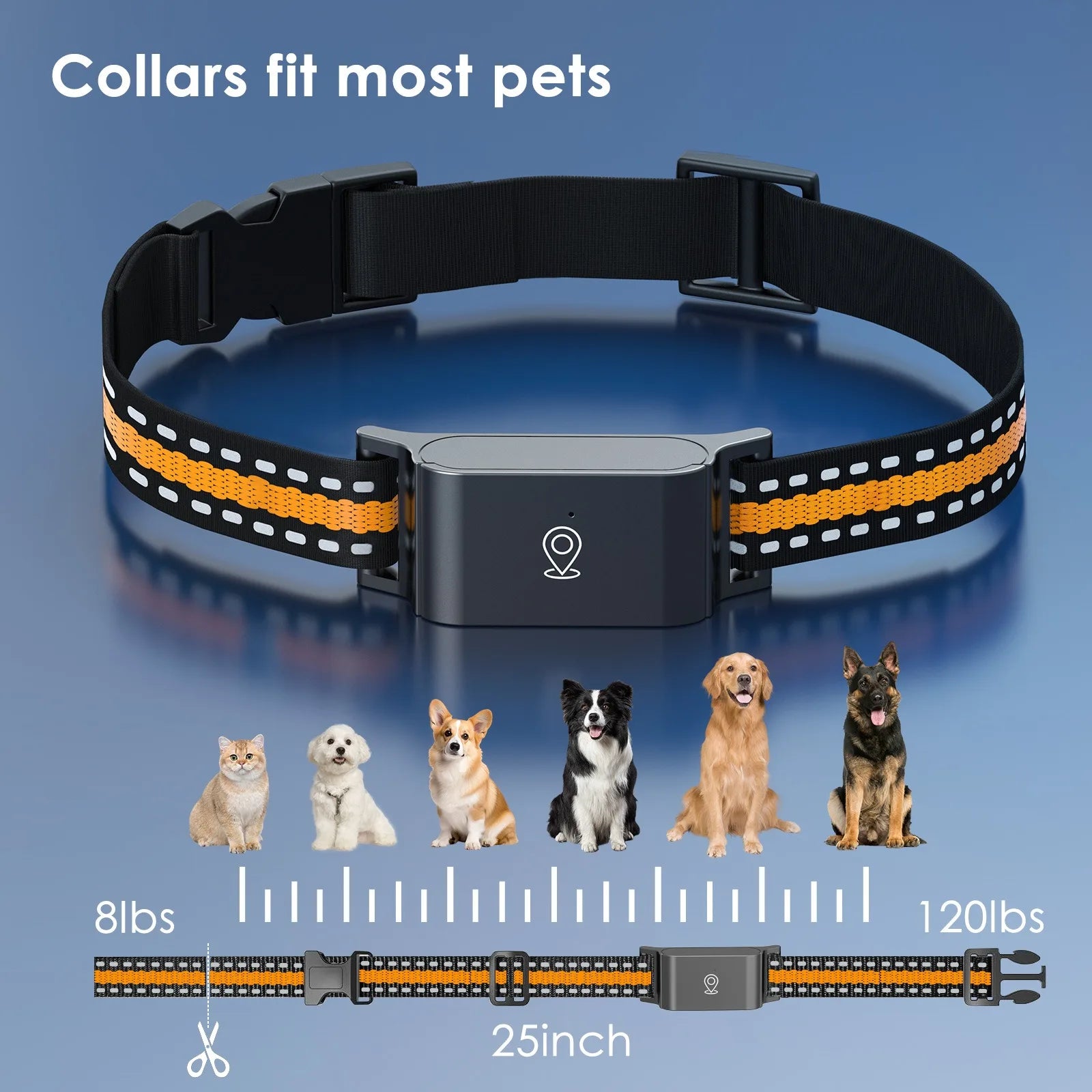 4G GPS Dog Tracker Collar – Real-Time Safety & Peace of Mind 📍🐾