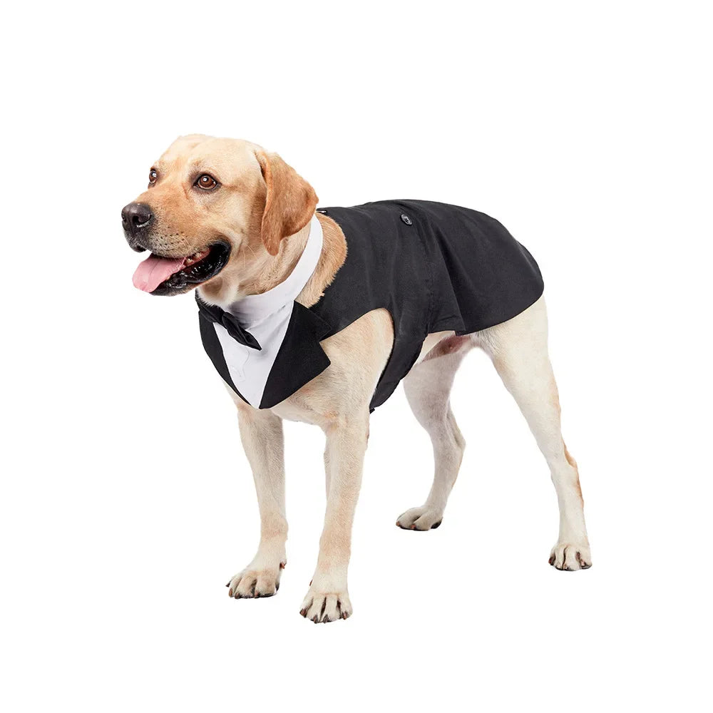Dog Tuxedo Suit – Formal, Stylish & Absolutely Adorable
