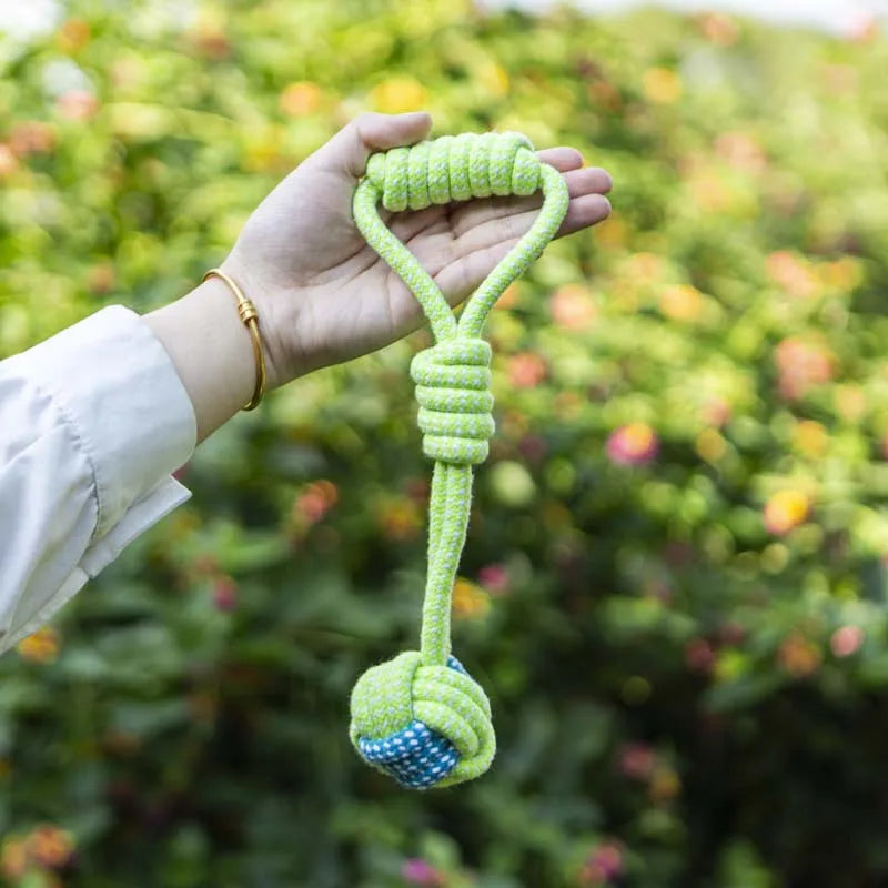 Tough Chew & Play Toy – Built for Endless Fun