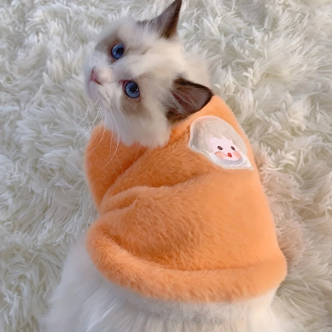 Plush Winter Sweater for Cats – Cozy, Cute & Comfy