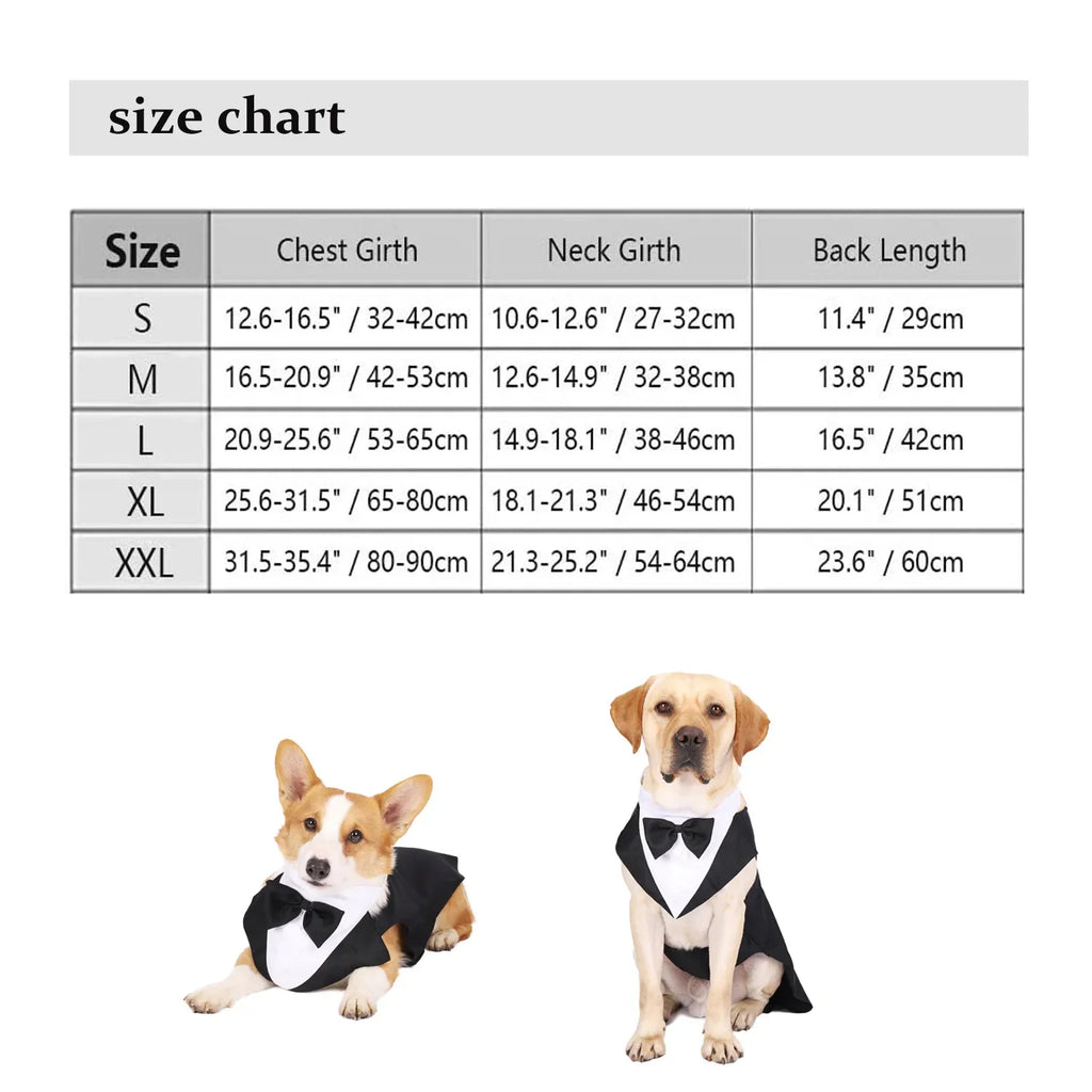 Dog Tuxedo Suit – Formal, Stylish & Absolutely Adorable