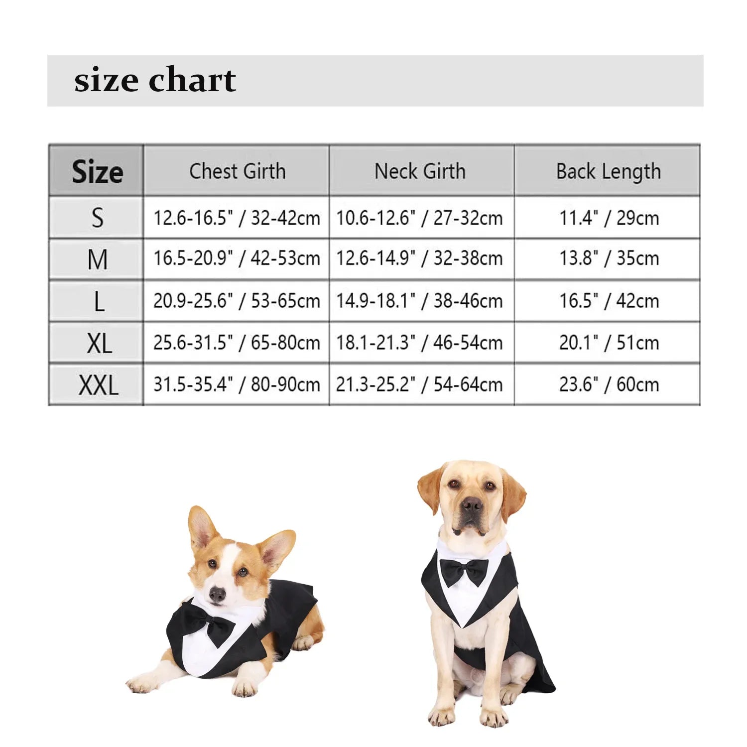 Dog Tuxedo Suit – Formal, Stylish & Absolutely Adorable
