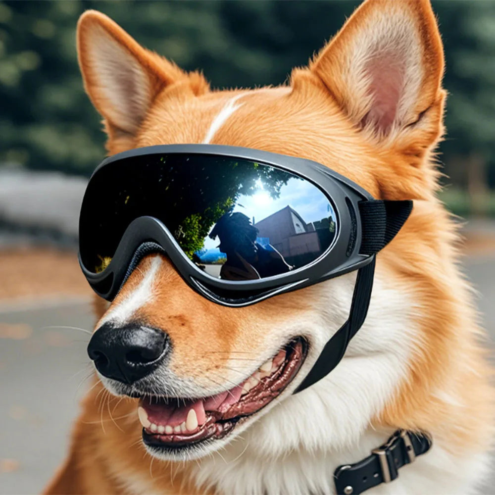 Cool Dog Sunglasses – Style & Protection in One