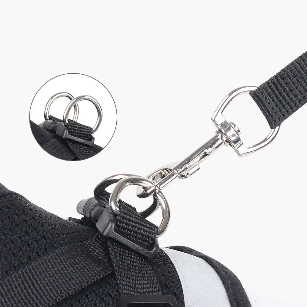 Reflective Cat Harness & Leash Set – Safe Adventures Day & Night 🌙🐾