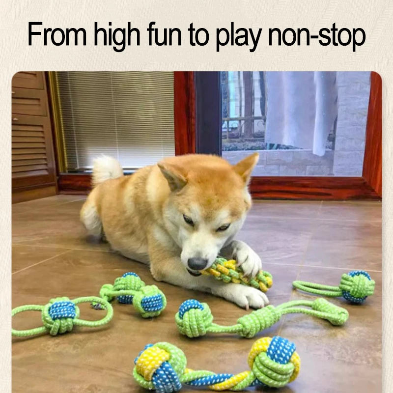 Tough Chew & Play Toy – Built for Endless Fun