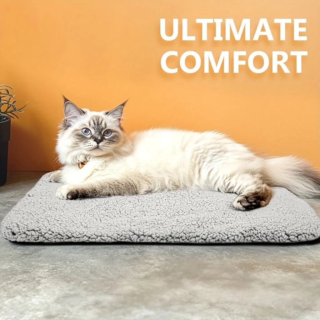 Self-Heating Pet Pad – Warmth Without Wires 🔥🐾