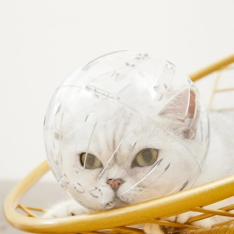 Keep your cat safe & stress-free!