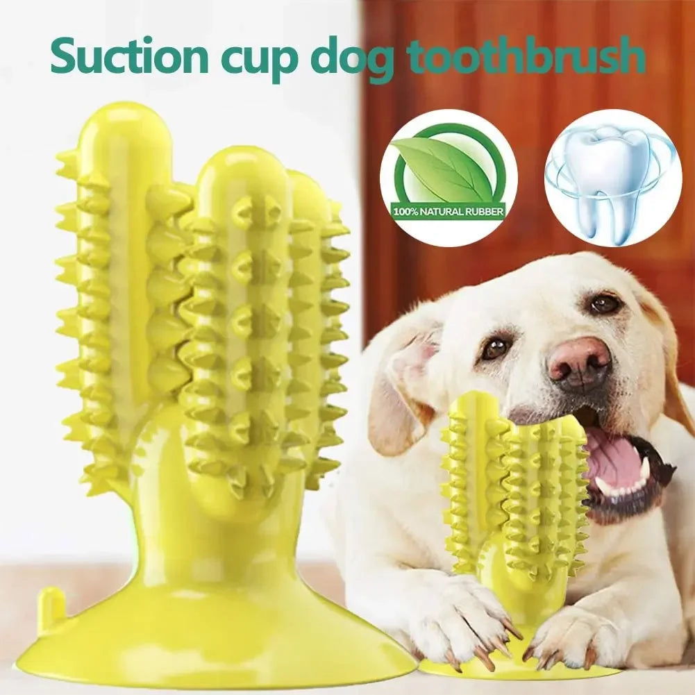 Smart Chew Toothbrush Toy – Play & Clean in One