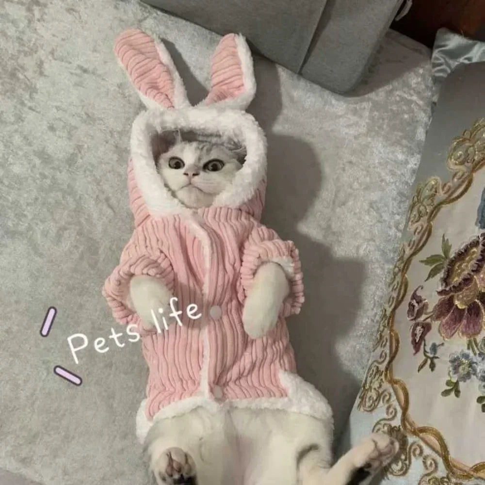 Lovable Cat Outfit – Cozy & Cute