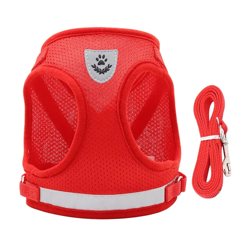 Reflective Cat Harness & Leash Set – Safe Adventures Day & Night 🌙🐾