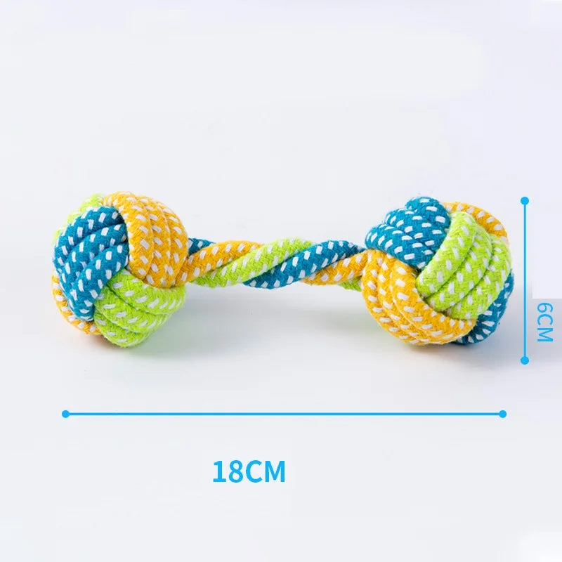 Tough Chew & Play Toy – Built for Endless Fun
