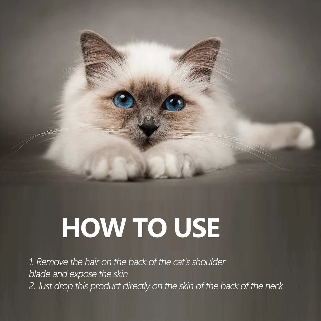 Protect Your Cat from Parasites – Naturally & Effectively!
