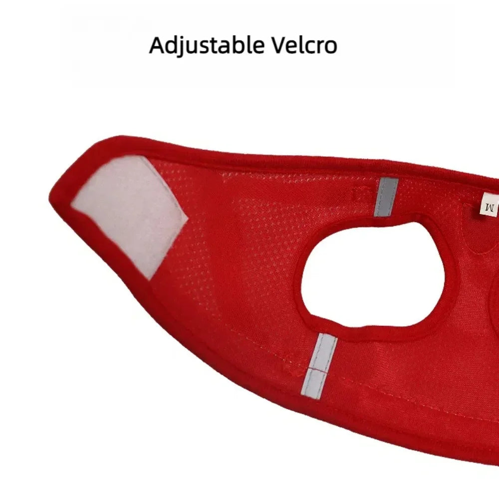 Reflective Cat Harness & Leash Set – Safe Adventures Day & Night 🌙🐾