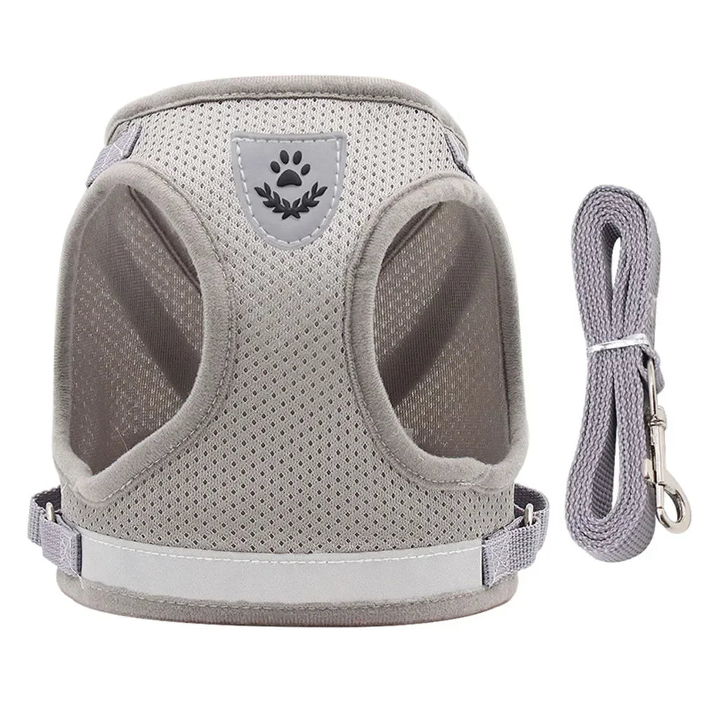 Reflective Cat Harness & Leash Set – Safe Adventures Day & Night 🌙🐾