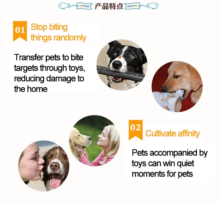 Tough Chew & Play Toy – Built for Endless Fun