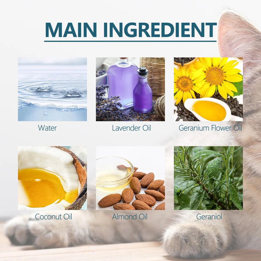 Protect Your Cat from Parasites – Naturally & Effectively!