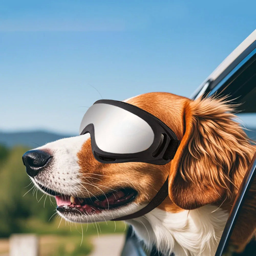 Cool Dog Sunglasses – Style & Protection in One