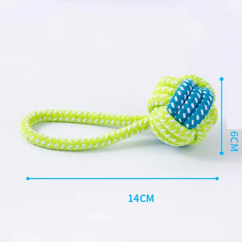 Tough Chew & Play Toy – Built for Endless Fun