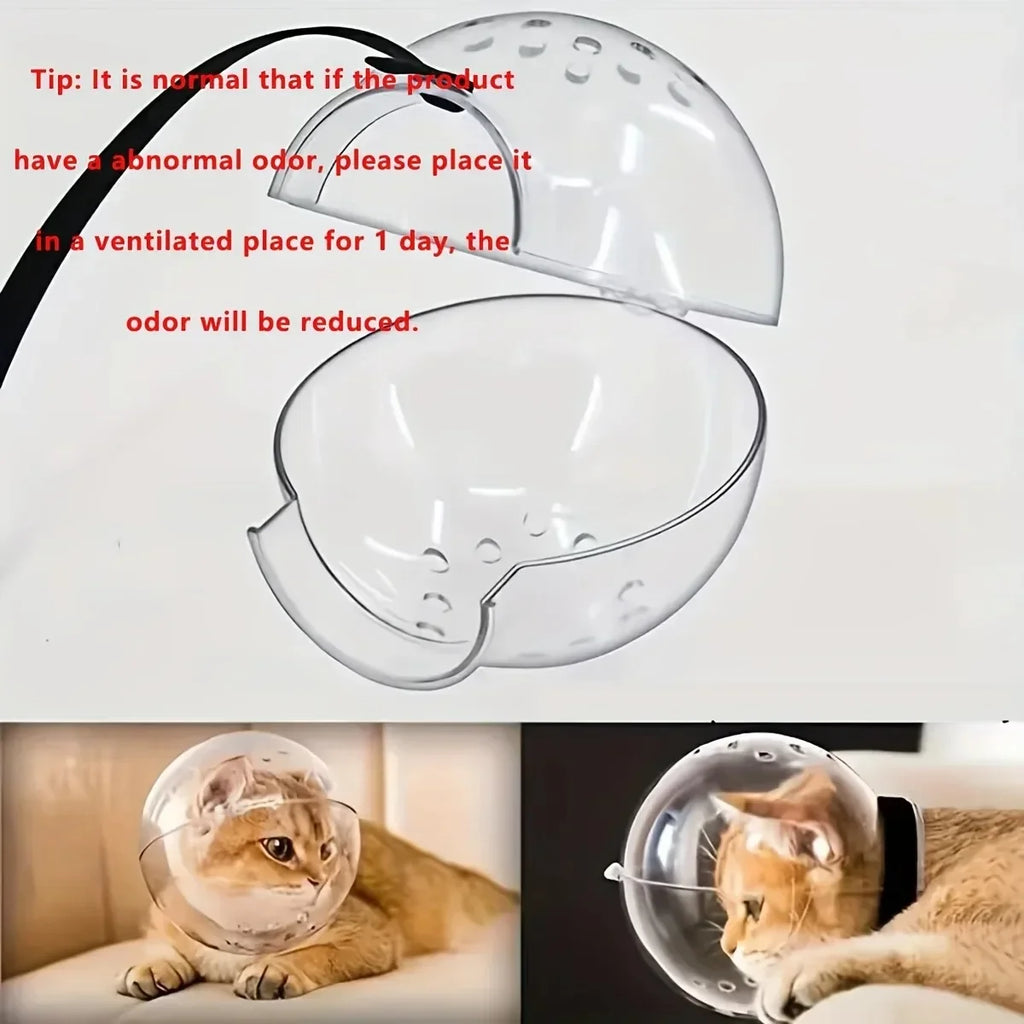 Keep your cat safe & stress-free!