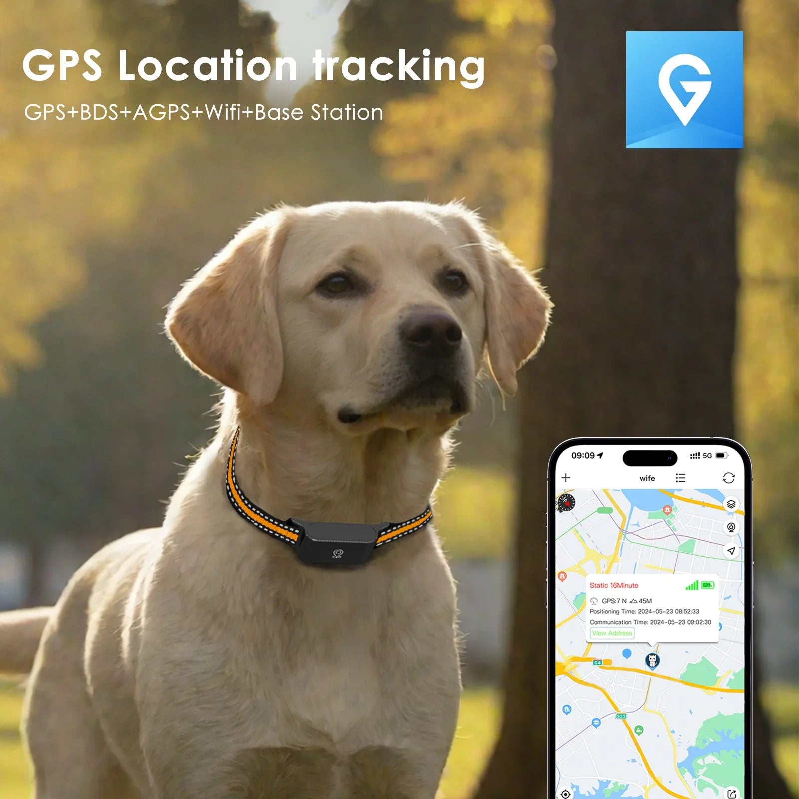 4G GPS Dog Tracker Collar – Real-Time Safety & Peace of Mind 📍🐾