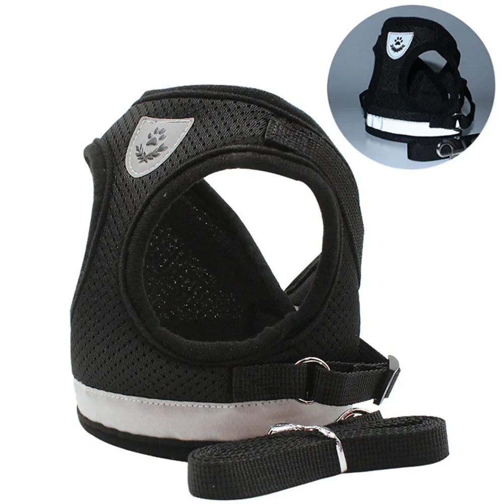 Reflective Cat Harness & Leash Set – Safe Adventures Day & Night 🌙🐾