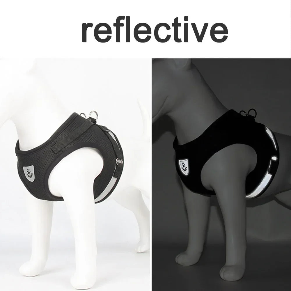 Reflective Cat Harness & Leash Set – Safe Adventures Day & Night 🌙🐾
