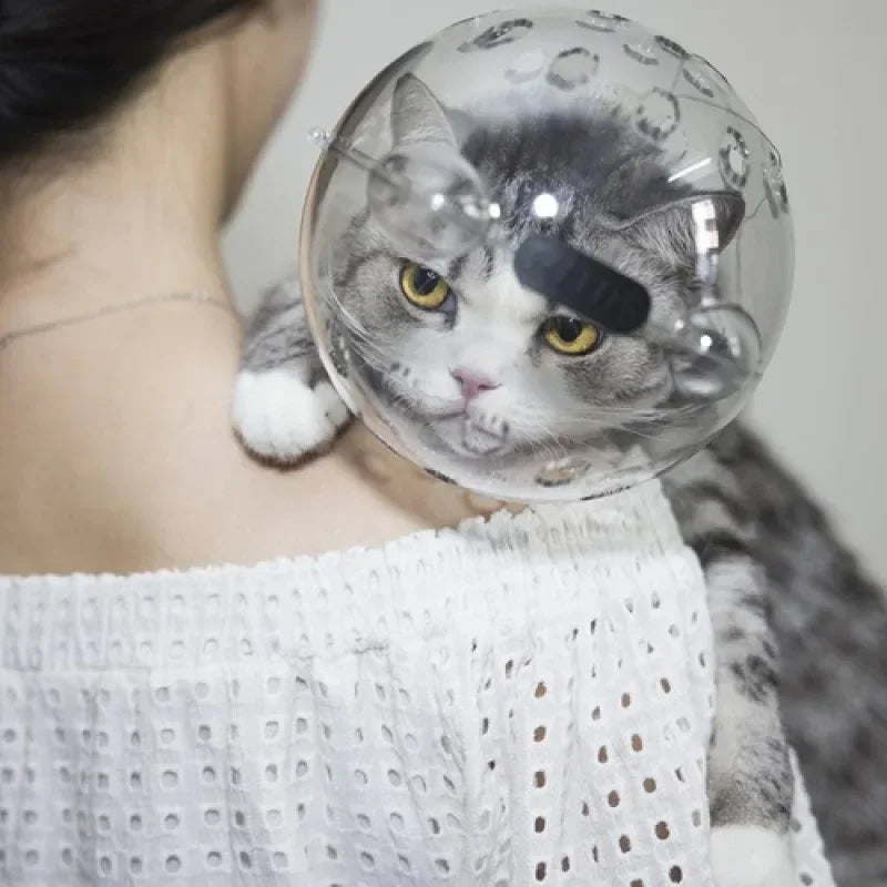 Keep your cat safe & stress-free!