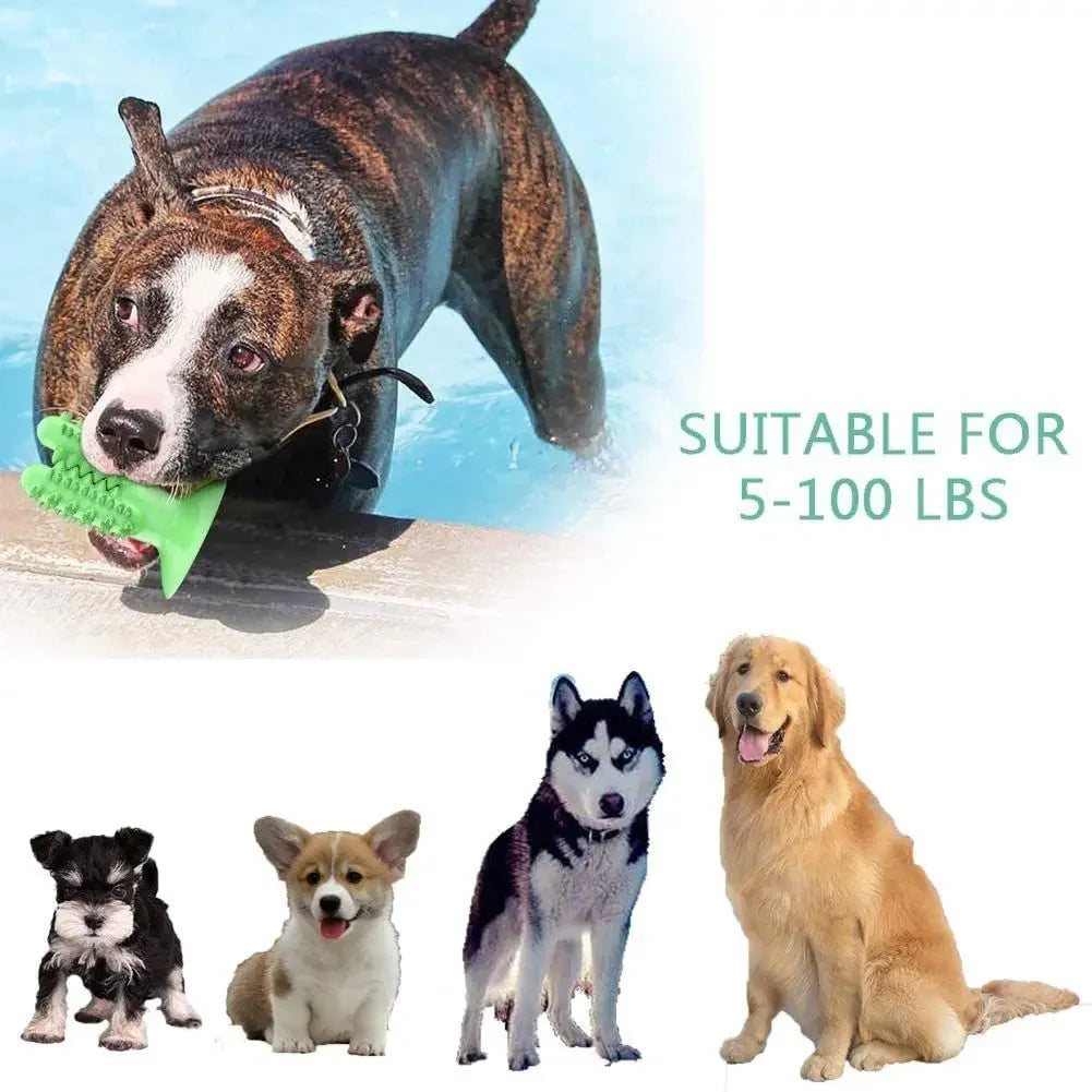 Smart Chew Toothbrush Toy – Play & Clean in One