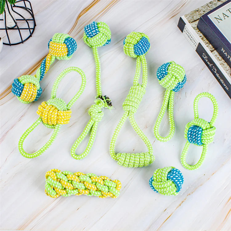 Tough Chew & Play Toy – Built for Endless Fun