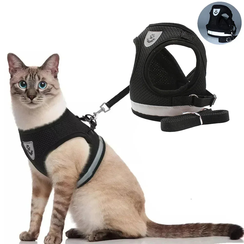 Reflective Cat Harness & Leash Set – Safe Adventures Day & Night 🌙🐾