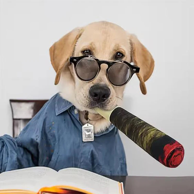 The Coolest Cigar for Your Dog – No Smoke, Just Fun!