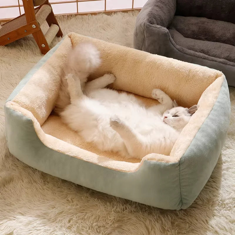 🏠 Cozy Pet House – Comfort All Year Round