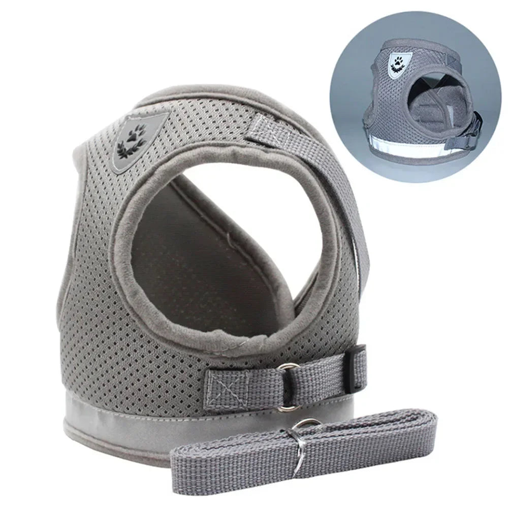 Reflective Cat Harness & Leash Set – Safe Adventures Day & Night 🌙🐾