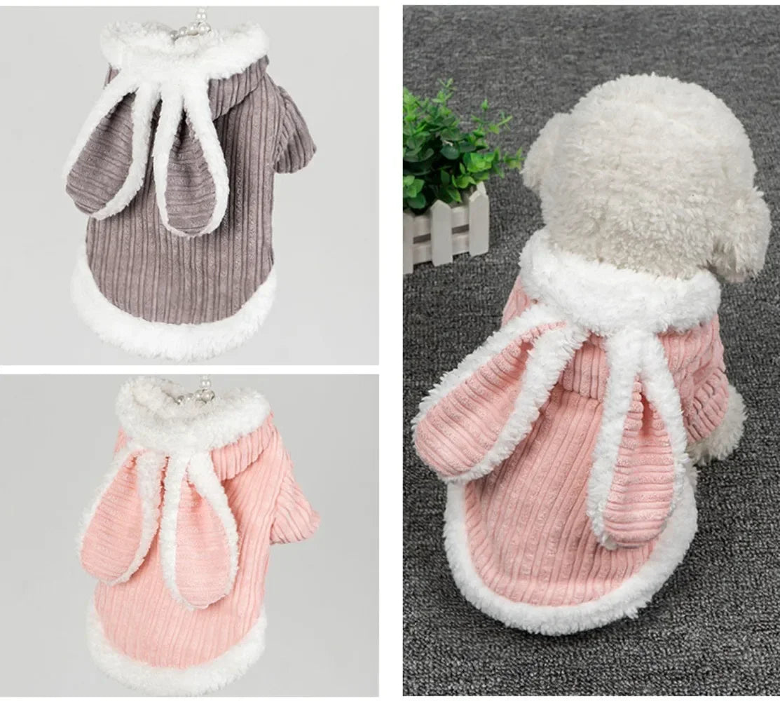 Lovable Cat Outfit – Cozy & Cute