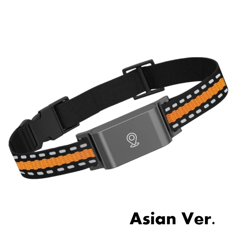 4G GPS Dog Tracker Collar – Real-Time Safety & Peace of Mind 📍🐾